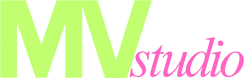 MV Studio logo